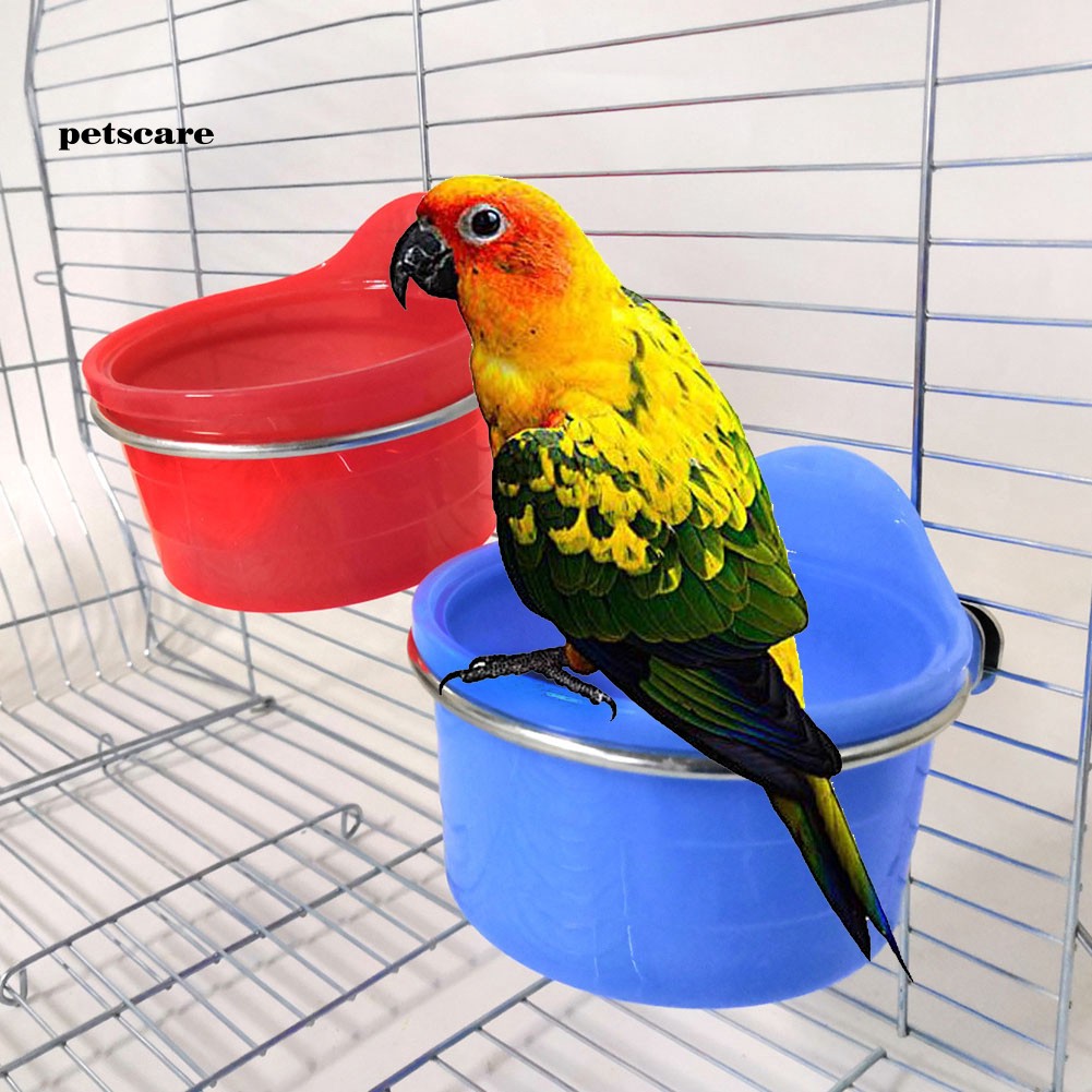 Pet Supplies Homyl 3pcs Pet Bird Drinker Tube Feeder Waterer For