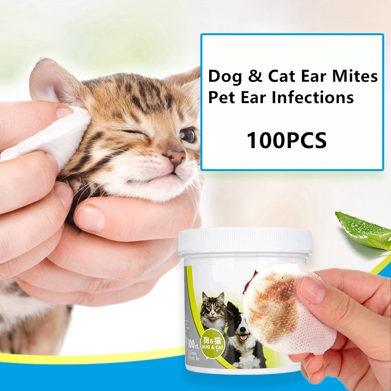 Can Coconut Oil Help With Ear Mites In Dogs