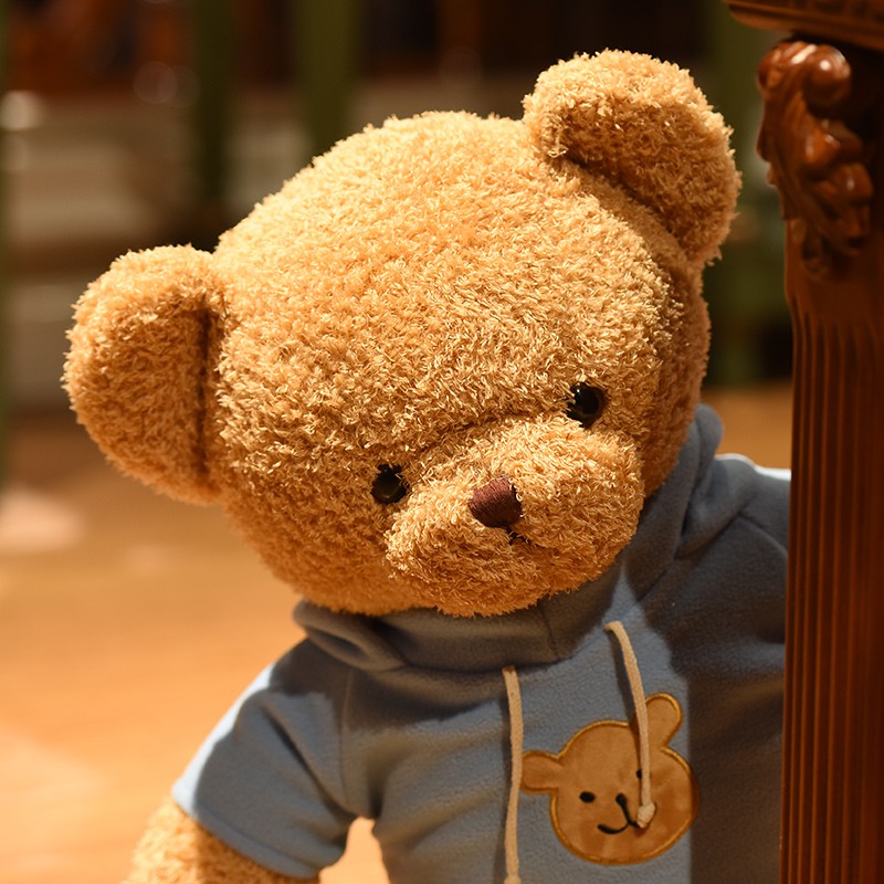 teddy bear with pillow