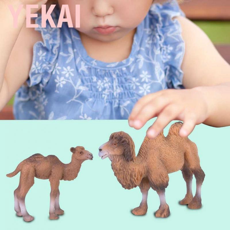 camel toys near me