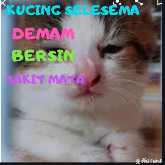 PET ONLY-2/5/10 BIJIUBAT KUCING/ANJING SELESEMA / DEMAM 