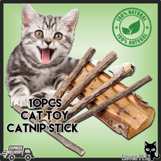 catnip treat - Price and Deals - Nov 2021  Shopee Singapore