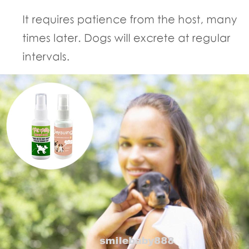 dog urine scent attractant