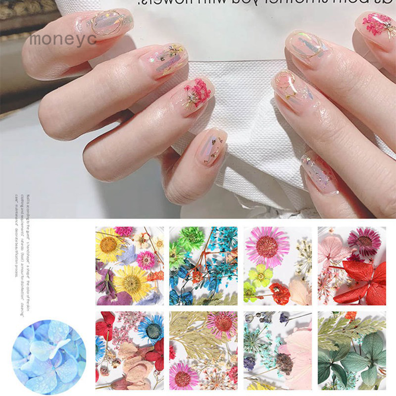 Nail Art Dried Flowers Natural Flowers Immortal Nail Petals Nail Art Accessories Shopee Singapore