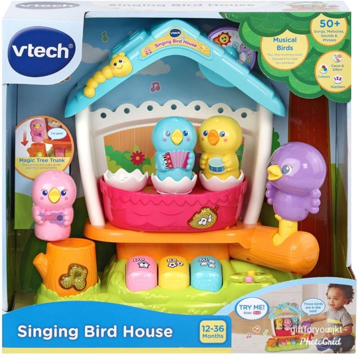 Vtech Singing Bird House Baby Toys 