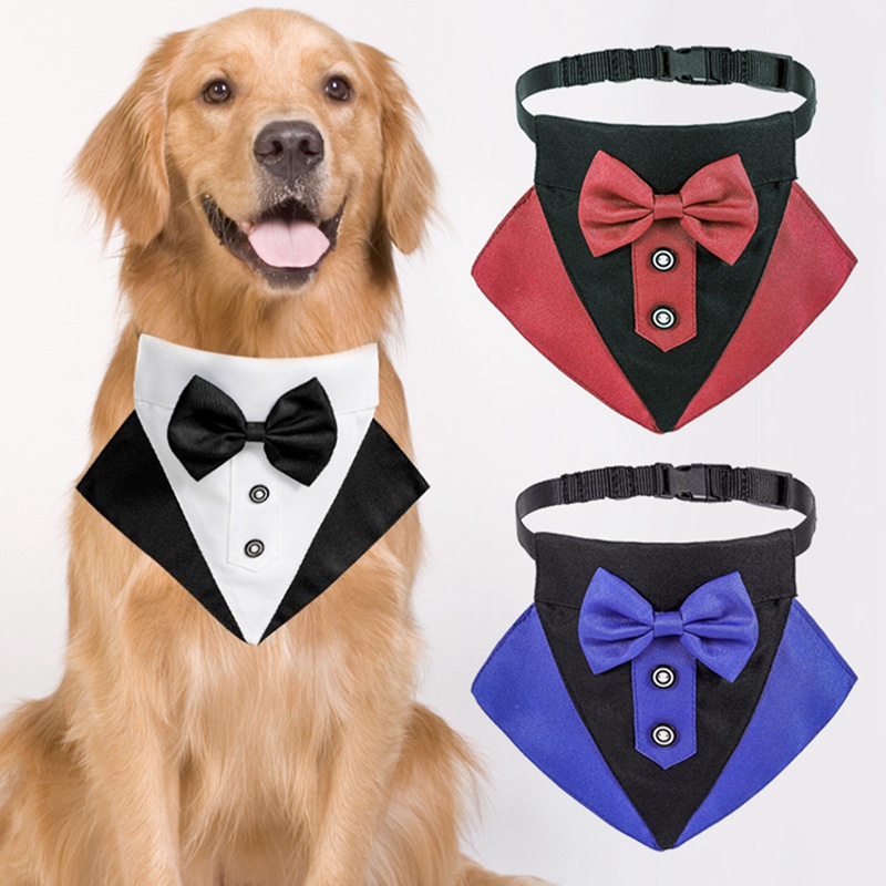 how do you put a bandana on a dog collar
