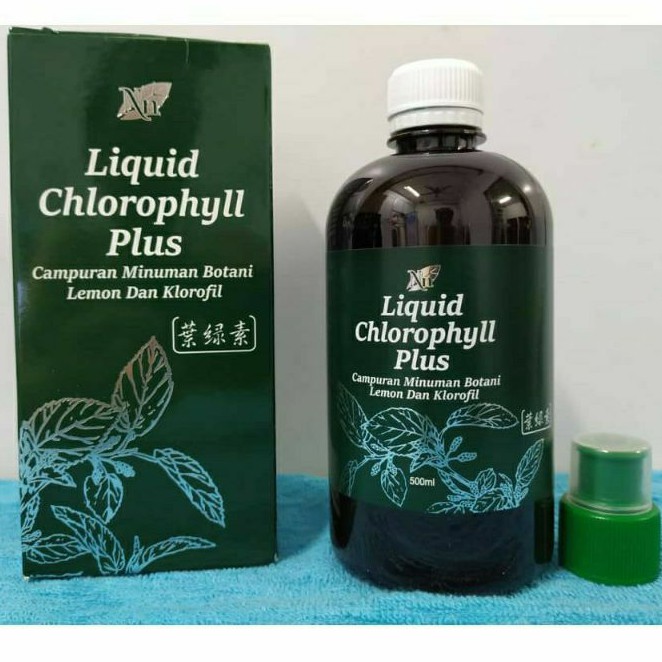Shop Malaysia Shyuanhouse Liquid Chlorophyll Plus 500ml Exp 5 2024 Shopee Singapore