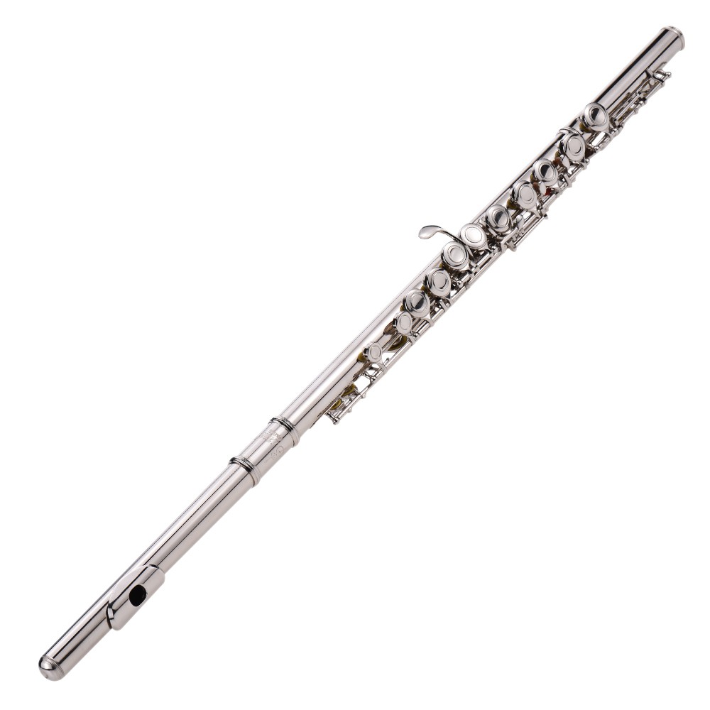Western Concert Flute Disepuh 16 Lubang C Kunci Instrumen Tiup Kayu Cupronickel | Shopee Singapura