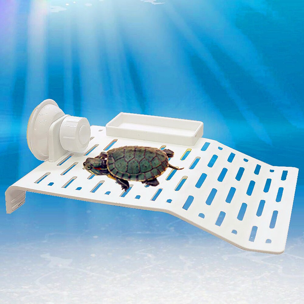 Acrylic Turtle Basking Platform with Feeding Trough Rest Terrace Tool Non Toxic Strong Suction Turtle Aquarium Pet Supplies