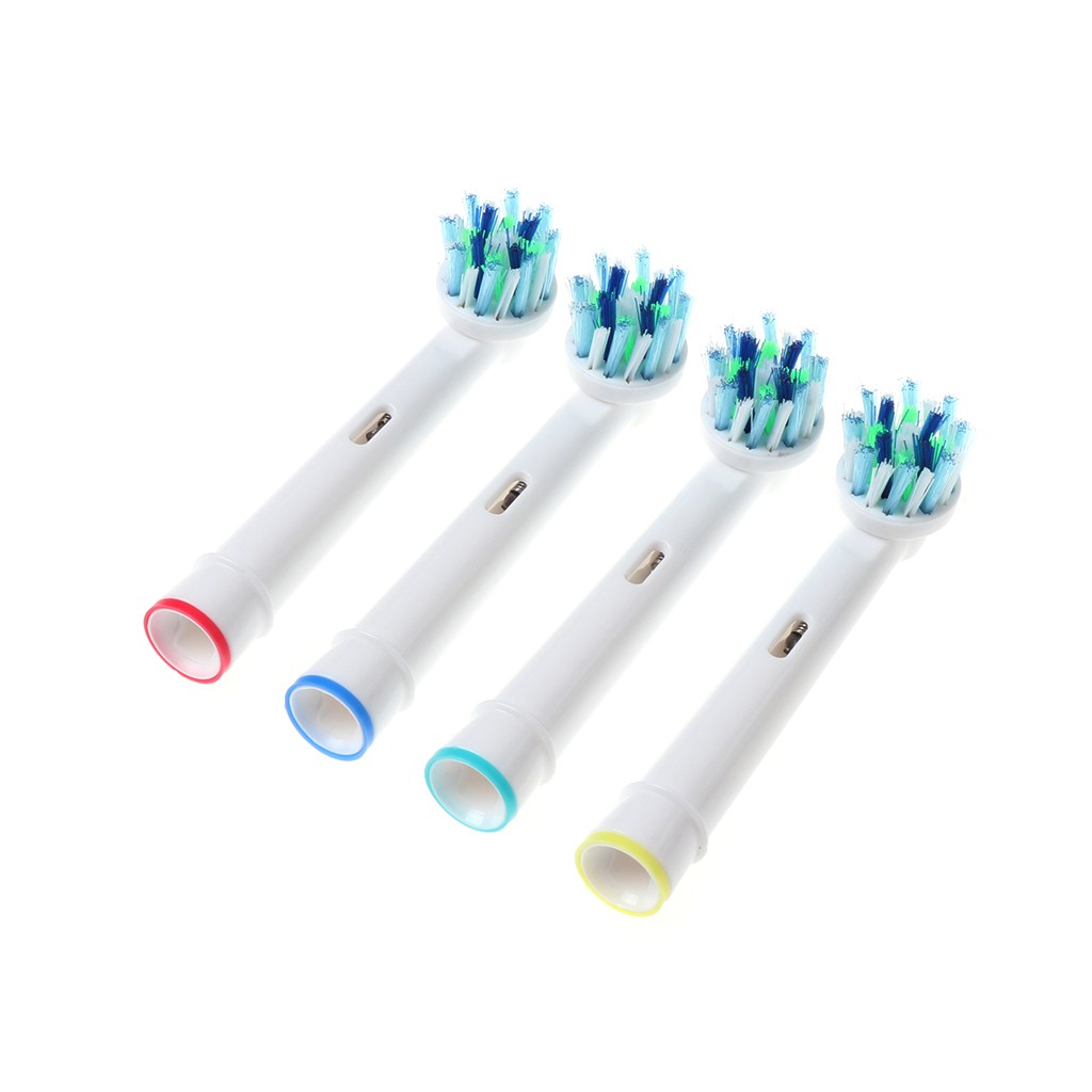 oral b cross section