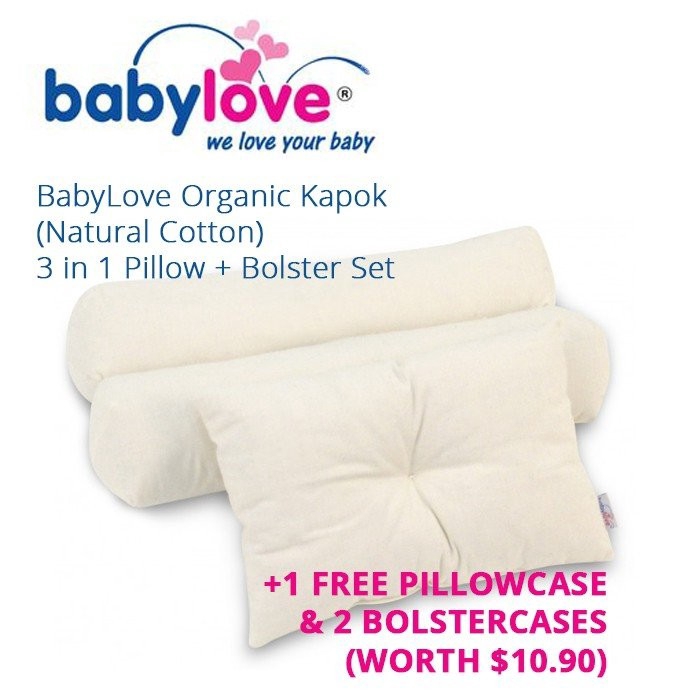 Meaning Bolster sites.unimi.it