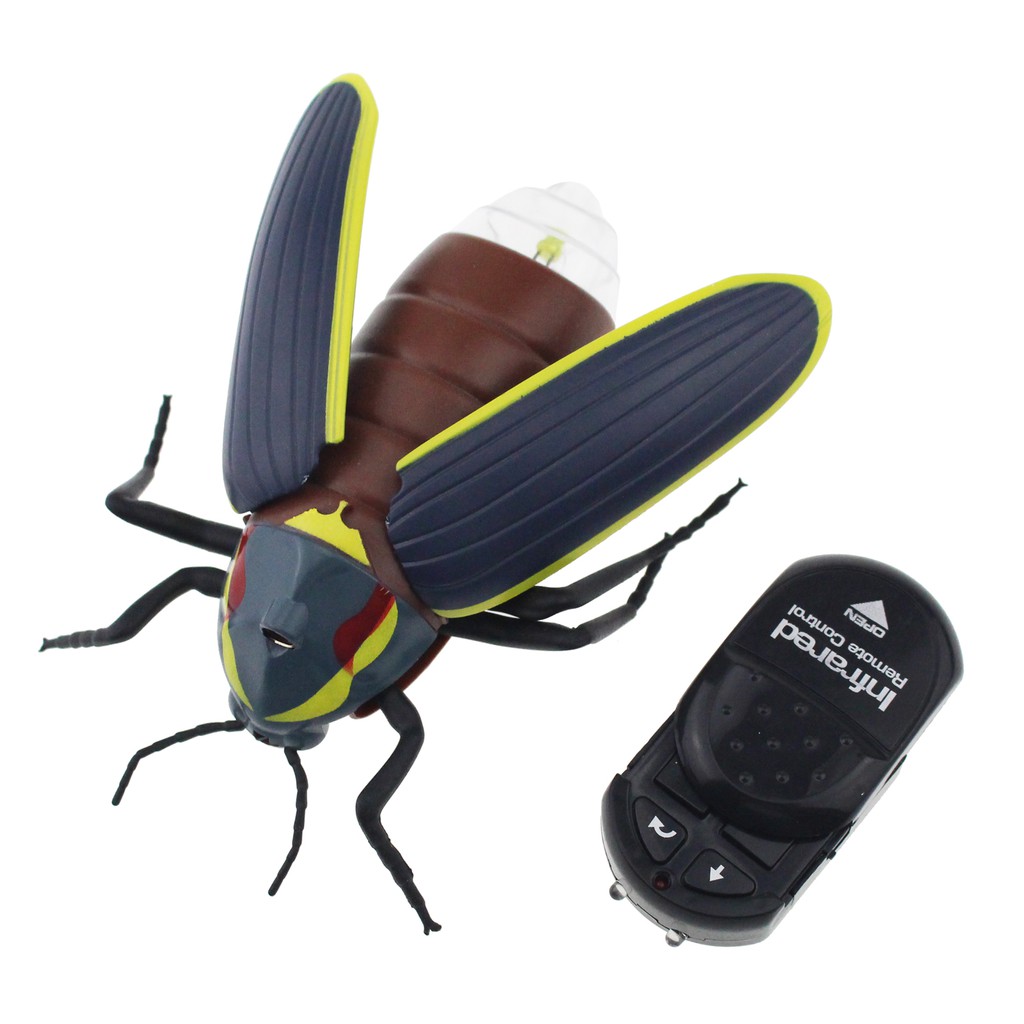 rc insect