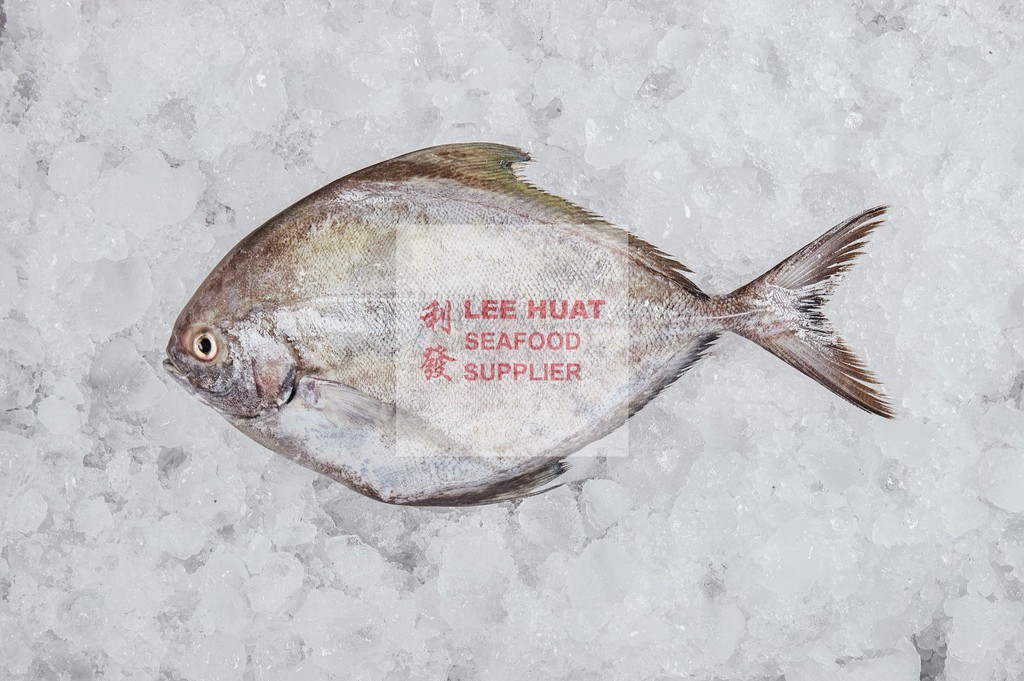 Lee Huat Seafood Supplier