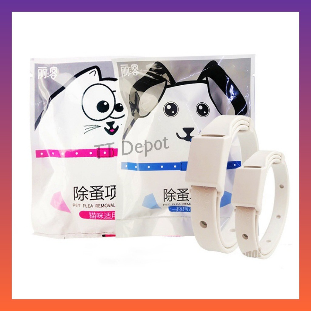 Pet Cat Dog Anti Flea Prevention Collar Ubat Kutu Kucing 