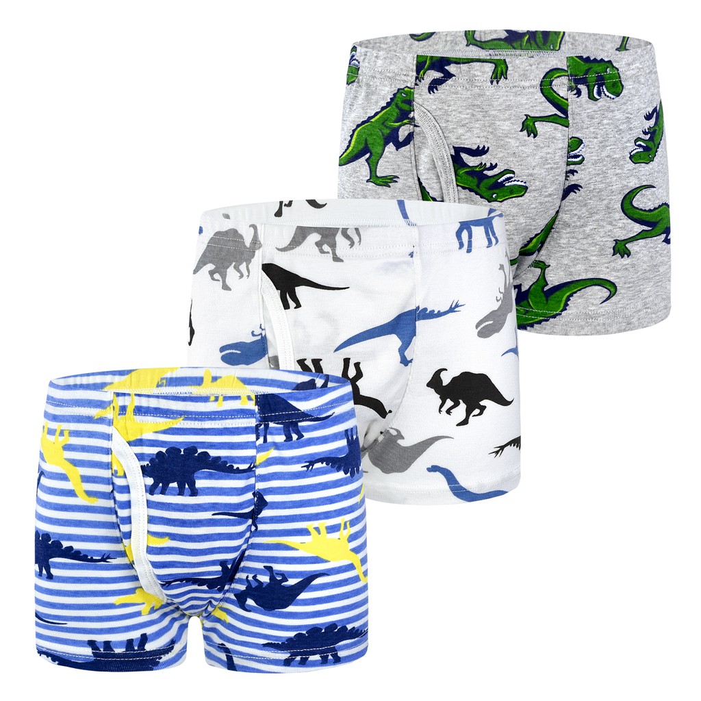 Boys Underwear Cotton Kids Cartoon Dinosaur Teenager Boys Boxer Briefs