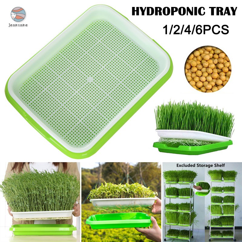 PG Seed Sprouter Tray Plant Germination Trays Double Layer Hydroponics Basket Shopee Singapore