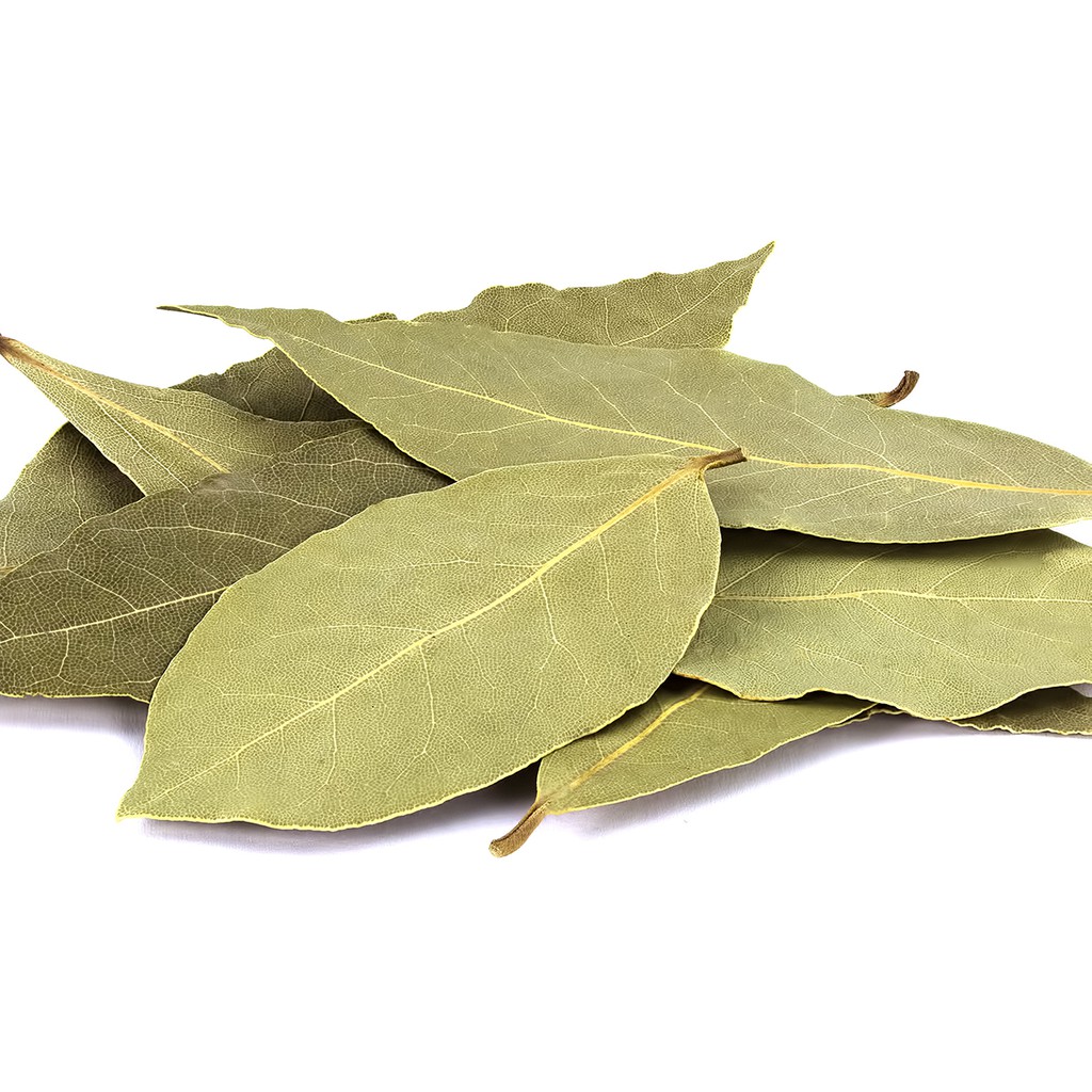 Shop Malaysia Dried Bay Leaves Daun Salam Herbs Spices 月桂叶 香叶 100g 500g Shopee Singapore