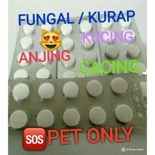 1 biji-🆘PET ONLY -Ubat Kurap /Fungal / Cacing Kucing 