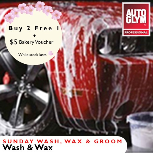 2 Free 1 Autoglym Professional Service Sunday Car Wash Wax For All Car Sizes Includes Wash Cleanse Wax Tyre Shine Shopee Singapore