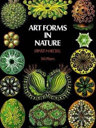 Art Forms in Nature by Ernst Haeckel (US edition, paperback)
