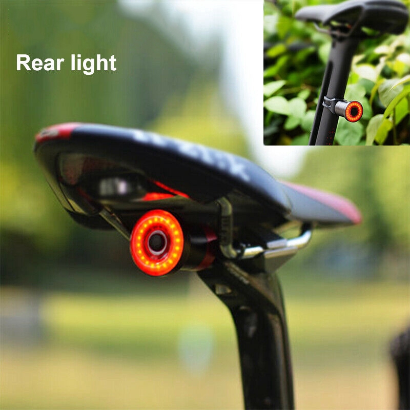 saddle tail light