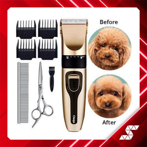 dog and cat clippers