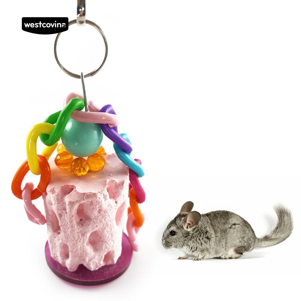 Best Chew Toys For Pet Rats Wow Blog