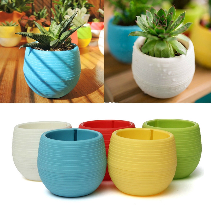 Mini Cute Succulent Potted Plant Small Flower Pot Office Outdoor Garden