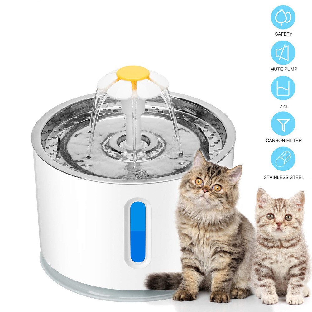 automatic cat fountain