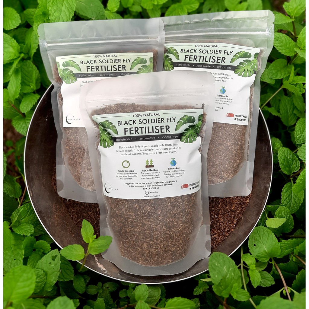 Black Soldier Fly Organic Fertiliser 100 Insect Frass Compost Shopee Singapore