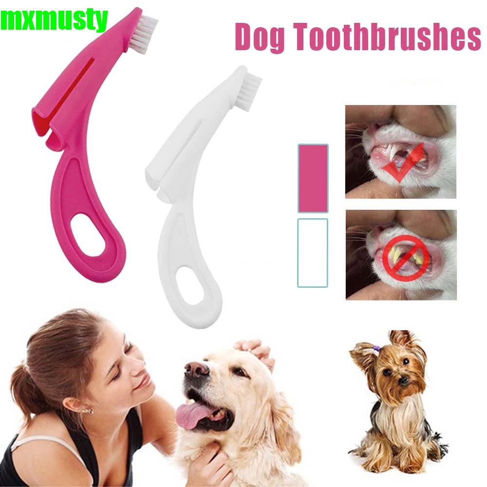 loronz dog toothbrush