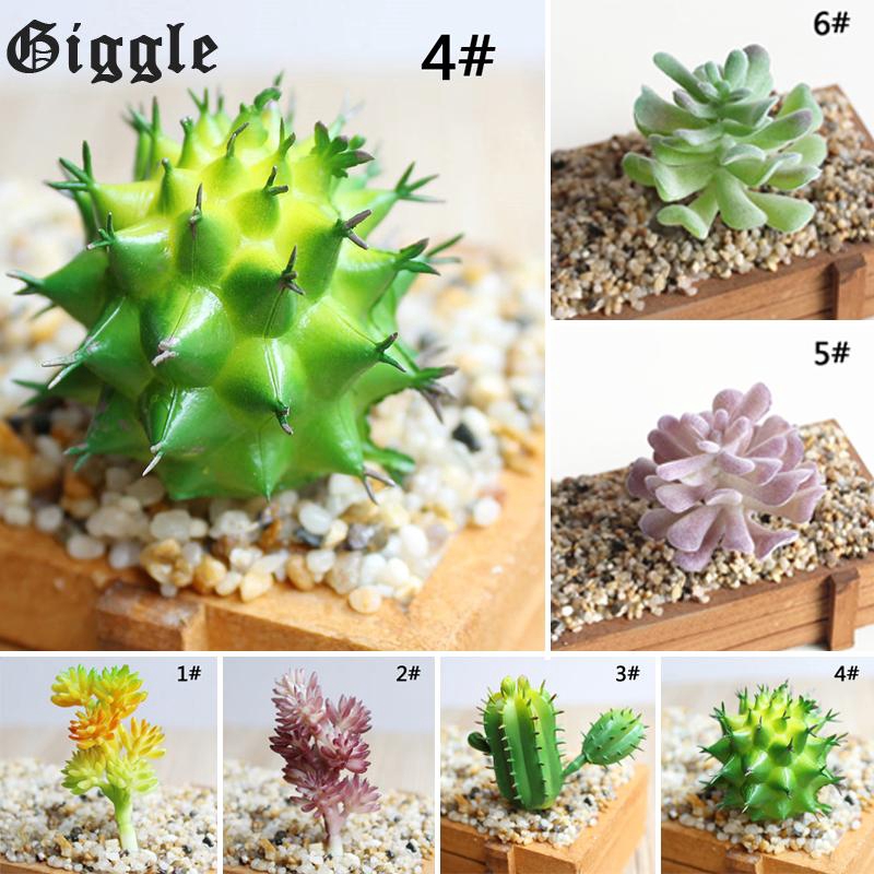 Wedding Living Room Coffee Table Succulent Cactus Flower Office Succulent Plant Shopee Singapore