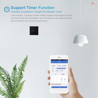 echo controlled light switch