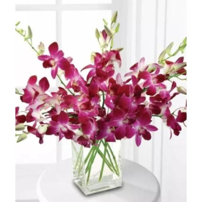 Fresh 10 stems Purple Dendrobium Orchid in Glass Vase Delivery the