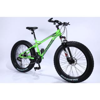 21 inch frame beach cruiser