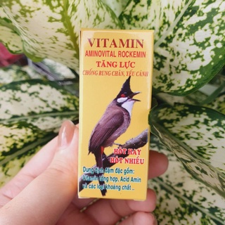 [Quality] Vitamin Rocket Strengthens Birds