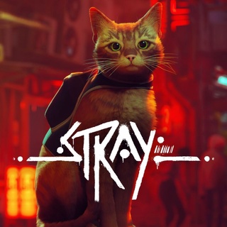 Pc Games Stray