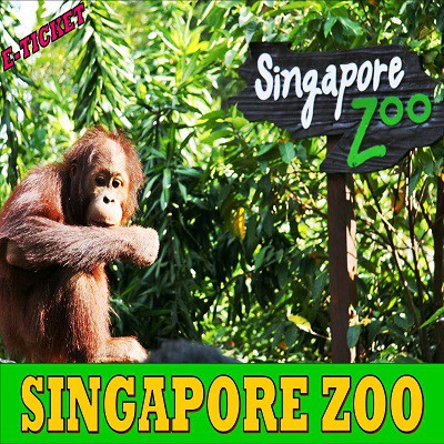 Singapore Zoo with Tram Ride (E-ticket) | Shopee Singapore