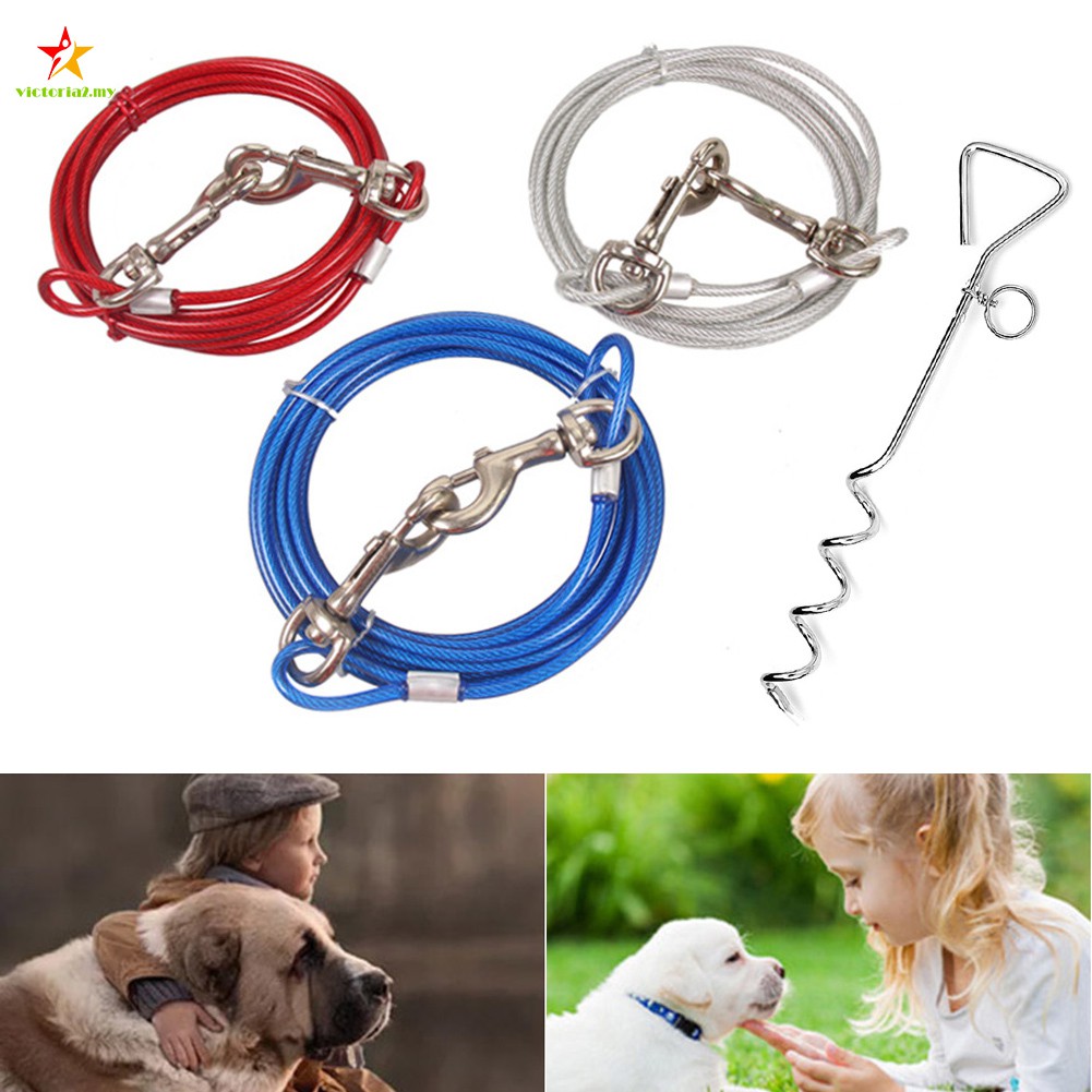 dog yard leash