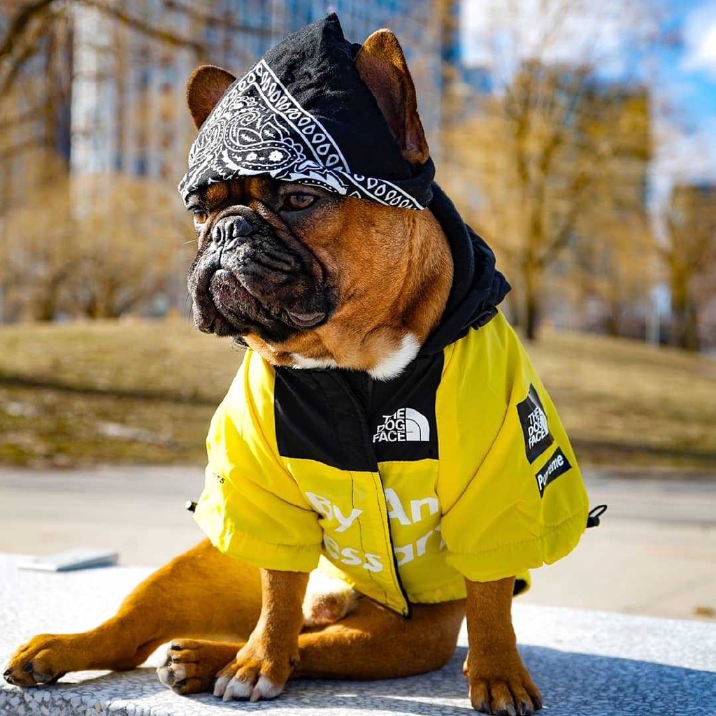 north face puppy jacket