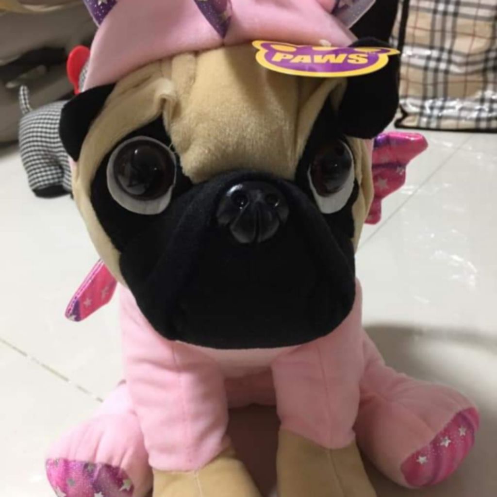 paws pug teddy