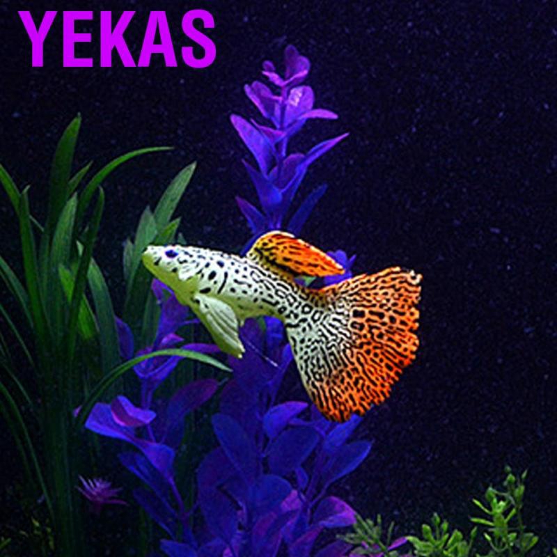 moving aquarium decorations