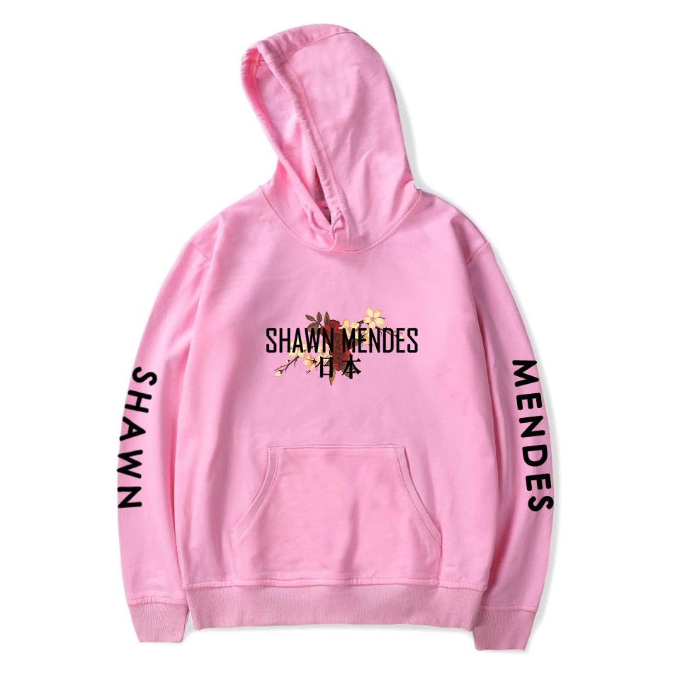 shawn mendes tommy hilfiger hoodie