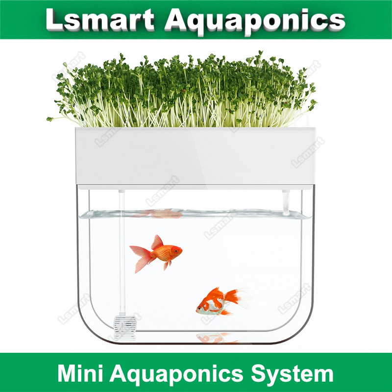 fine mini aquaponic in 2020 aquaponics system