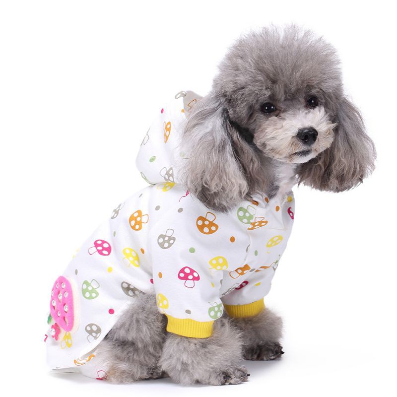 Toy Poodle Pajamas | Wow Blog