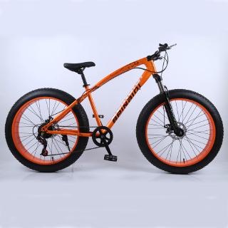 light fat bike