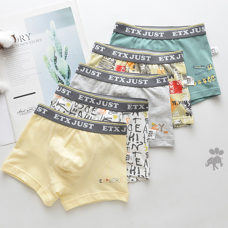 MooMoo Baby Toddler Boy Boxer Briefs Underwear Cotton Dinosaur Short 6 Packs 3-8Y 