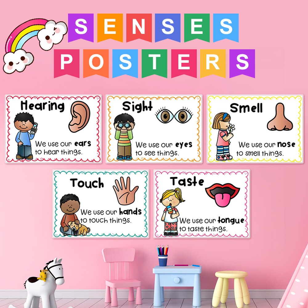 5 Pcs/set Five Senses A4 Posters Classroom Decoration Homeschool ...