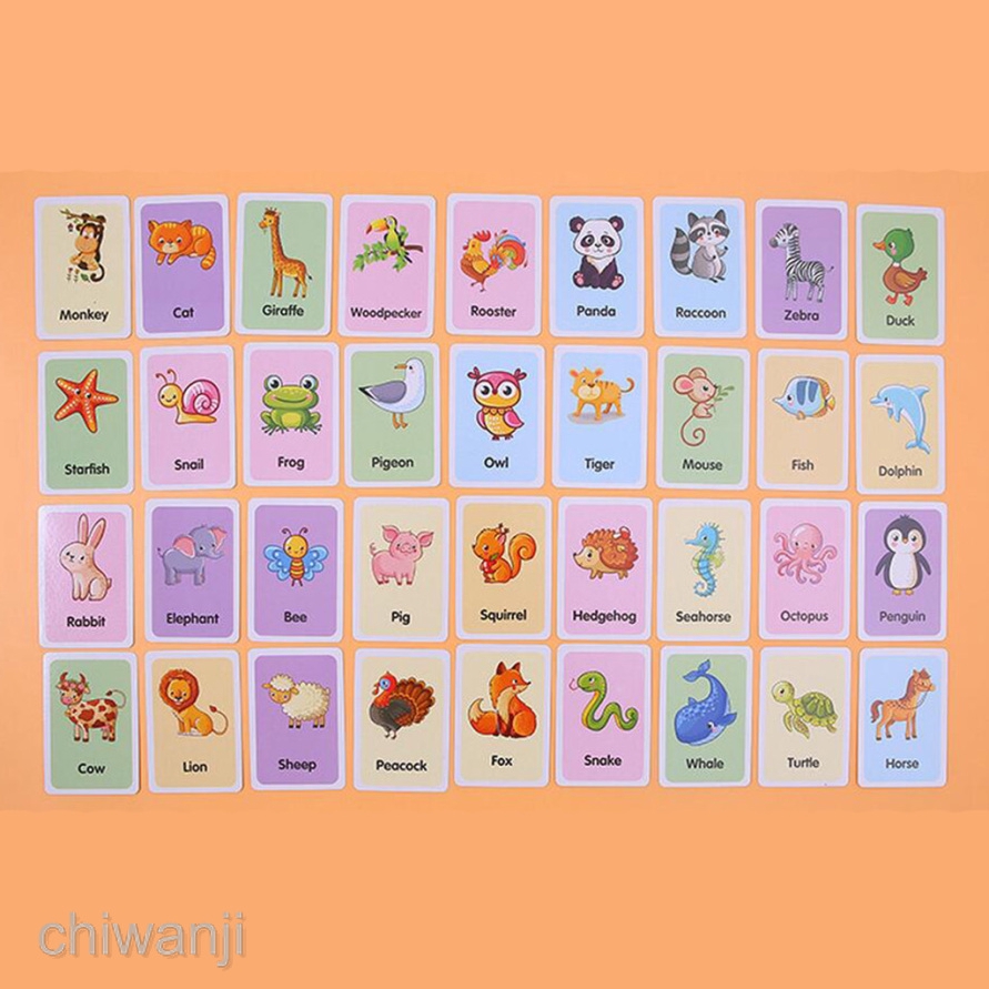 36pcs Kids Shape Animal Color Learning Flashcards Preschool