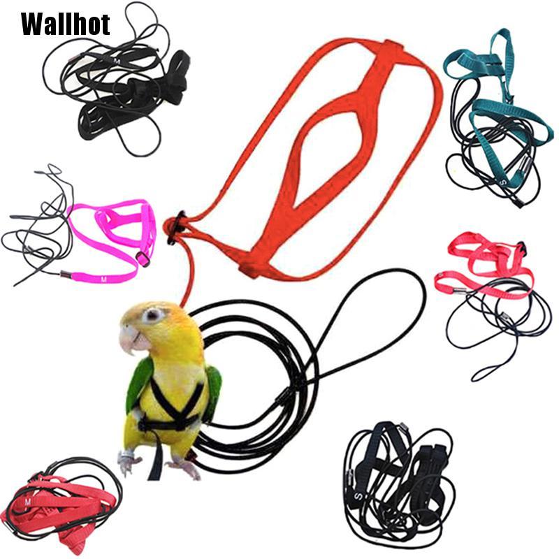 Wallhot♤ Pet Parrot Bird Harness Lead Leash Flying Training Rope